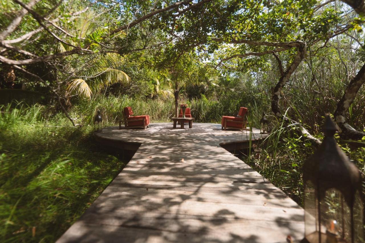Casa Vive Bacalar Acomodação com café da manhã Exterior foto